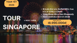 Tour Tết Singapore