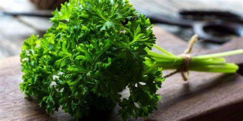 rau mùi tây giúp kì kinh nguyệt tới sớm hơn