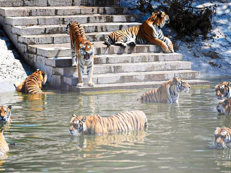 địa điểm nổi tiếng tại Cáp Nhĩ Tân