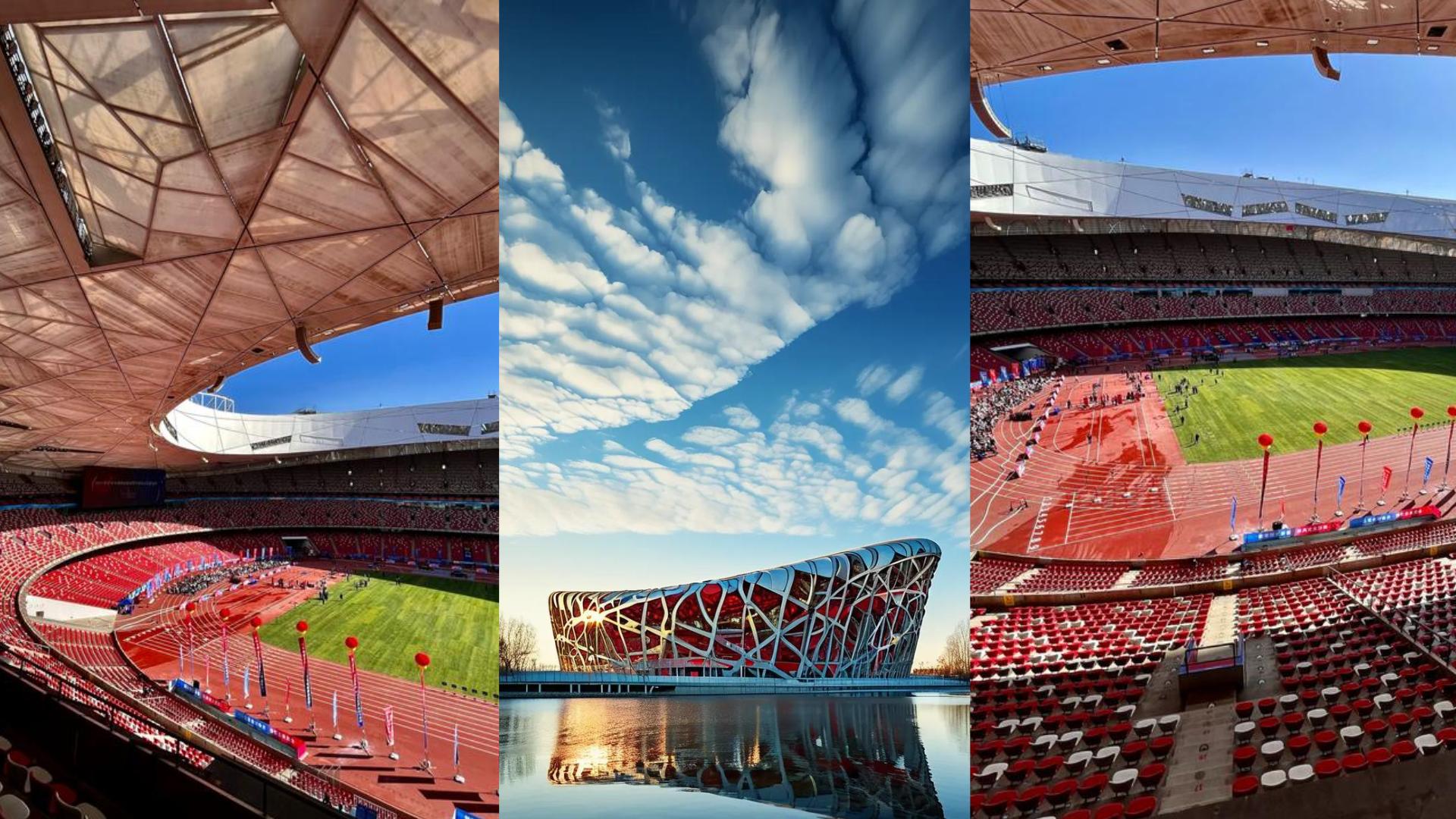 Sân vận động Tổ Chim