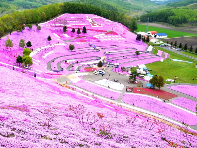 10 món ăn nhất định phải thử khi đến Hokkaido