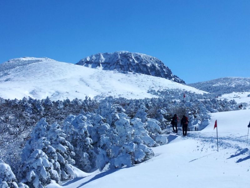 4 mùa trên đảo Jeju