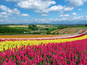 địa điểm du lịch Hokkaido
