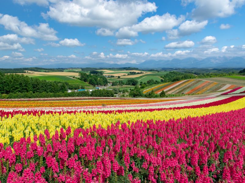 địa điểm du lịch Hokkaido