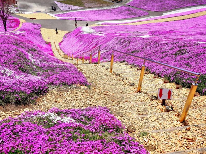 địa điểm du lịch Hokkaido