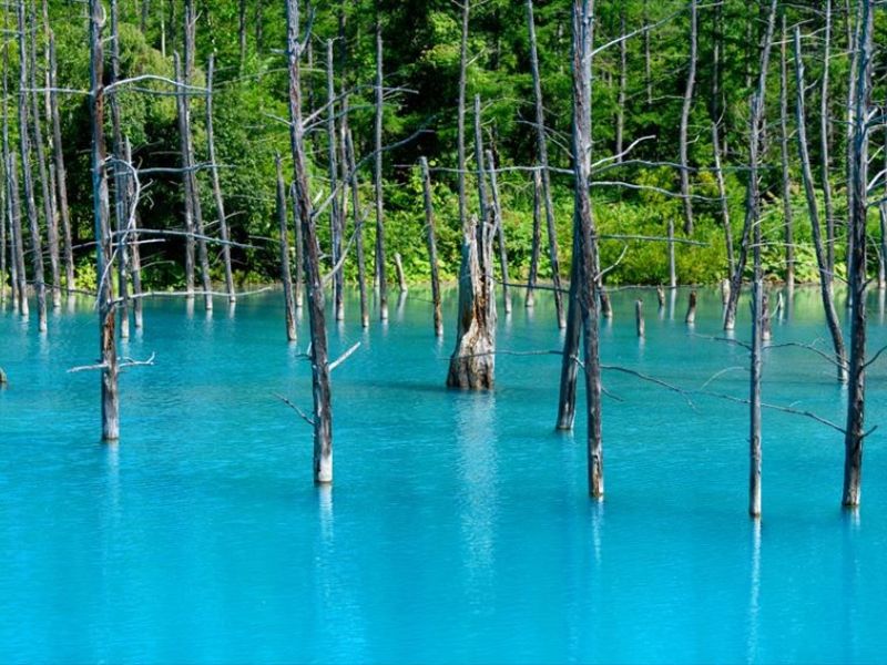 điều đặc biệt về văn hóa Hokkaido