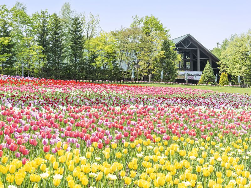 điều đặc biệt về văn hóa Hokkaido