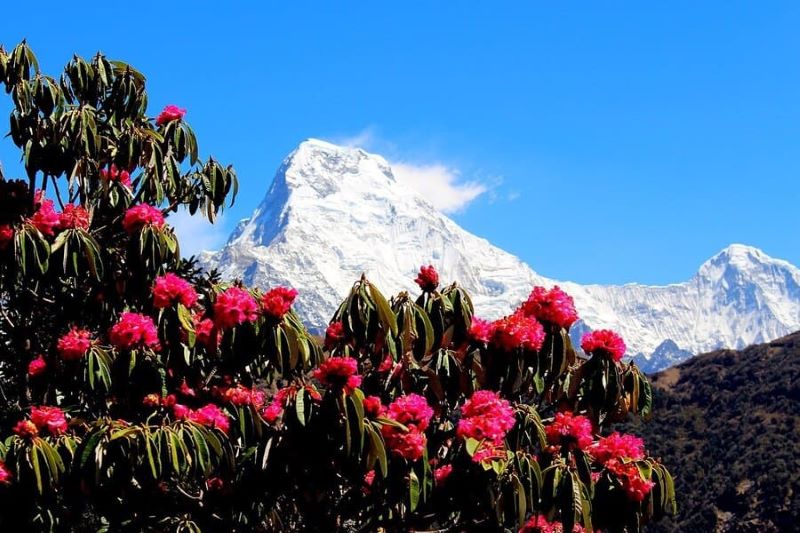 kinh nghiệm du lịch Nepal  kinh nghiệm du lịch Nepal