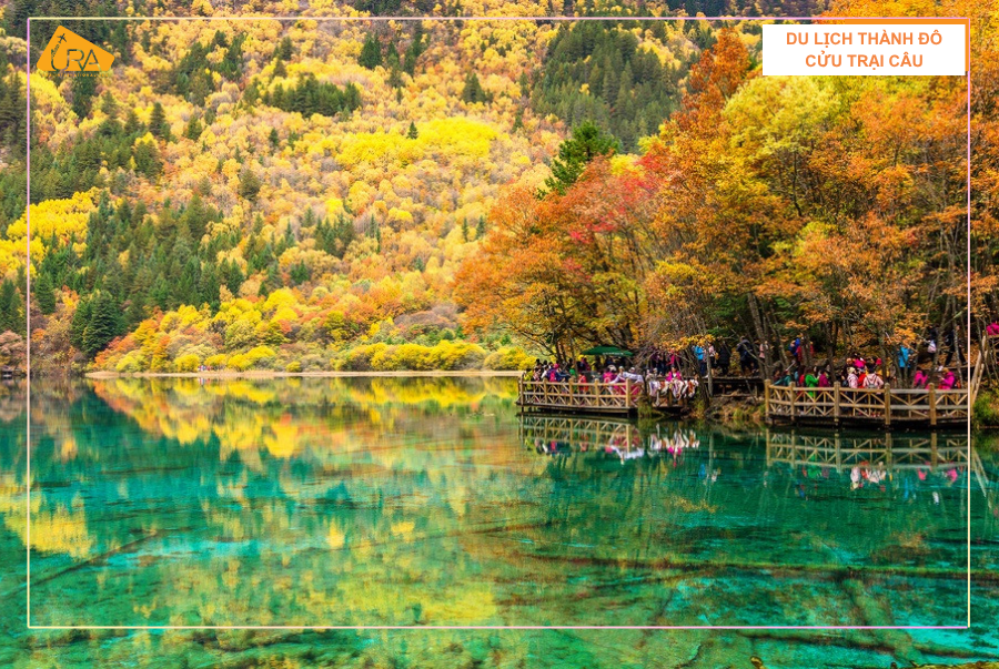 Cửu Trại Câu Mùa Thu