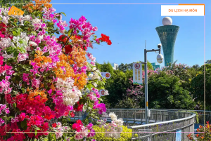 Du lịch Hạ Môn mùa nào đẹp