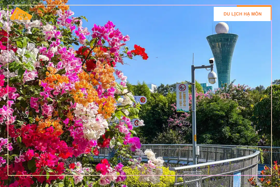 Du lịch Hạ Môn mùa nào đẹp