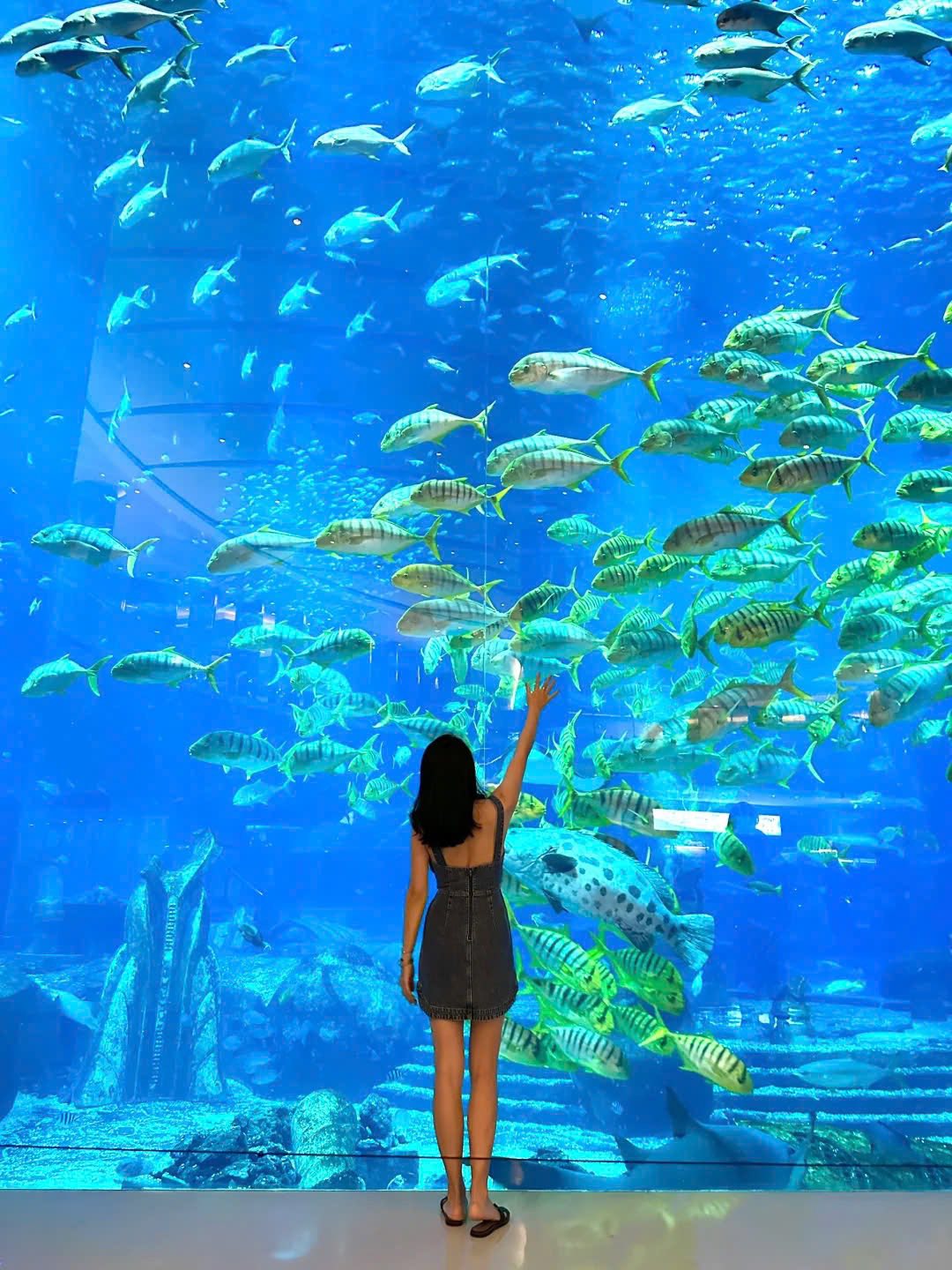 Thế giới dưới lòng đại dương tại khách sạn quốc tế 7 sao Atlantis.