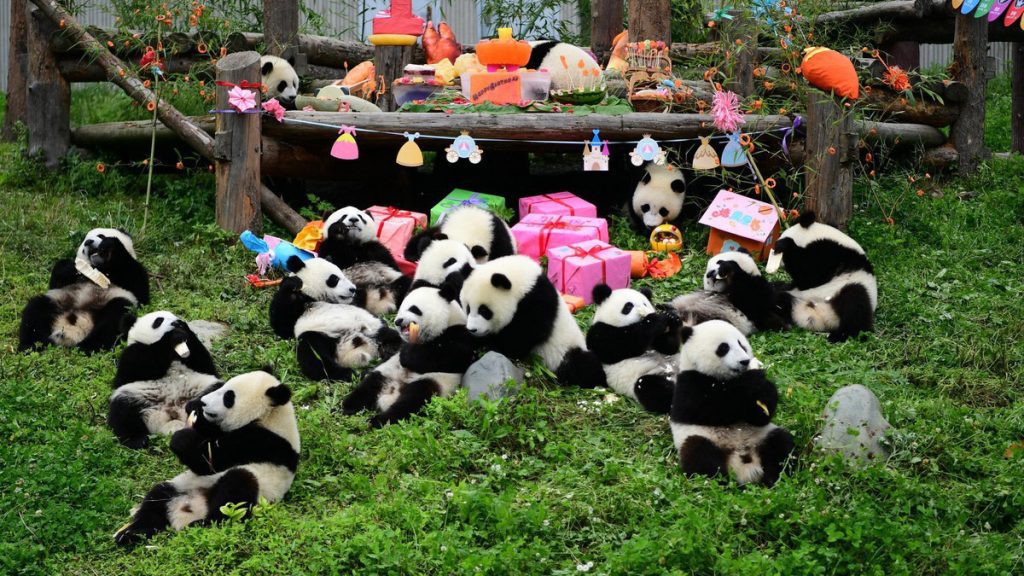 Sở Thú Trùng Khánh