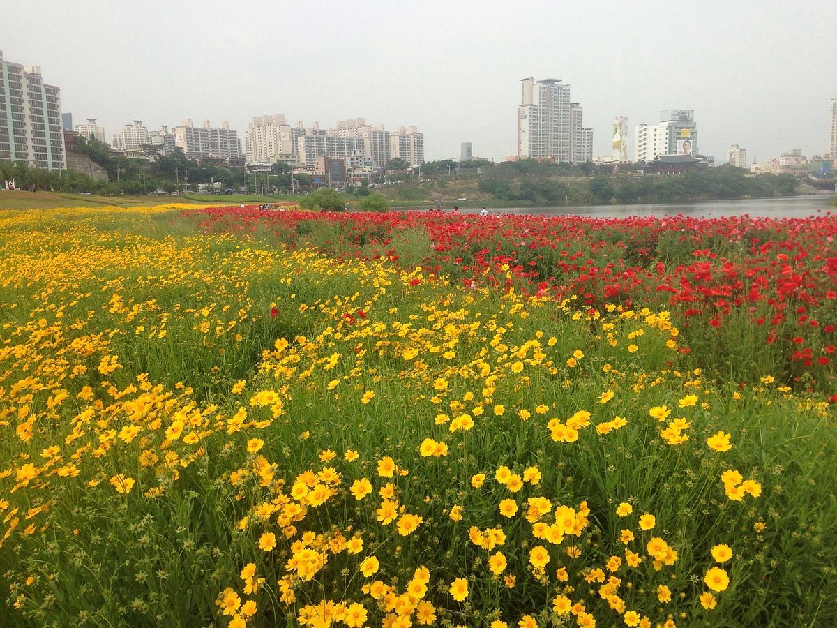 uratravel-taehwagang-park