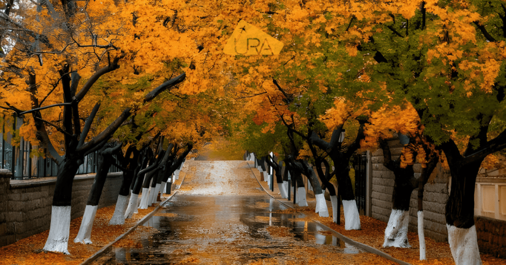 khu-bat-dai-thanh-dao