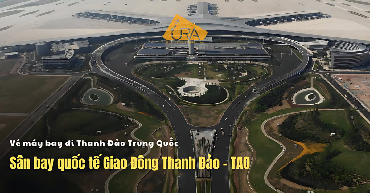 ve-may-bay-di-thanh-dao-gia-re