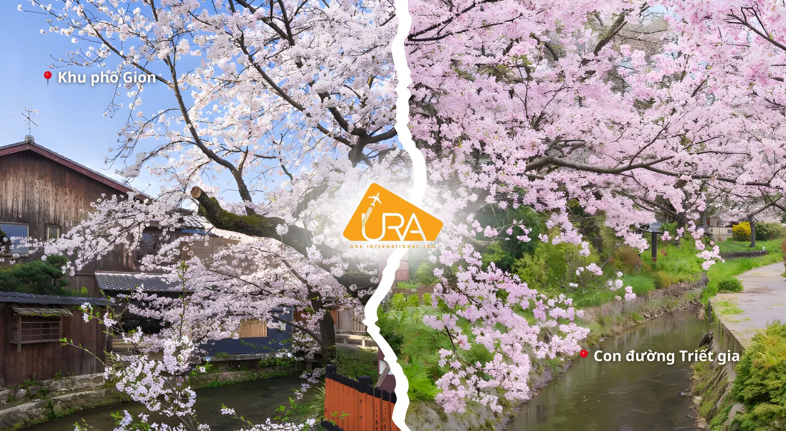 dia-diem-ngam-hoa-anh-dao-nhat-ban