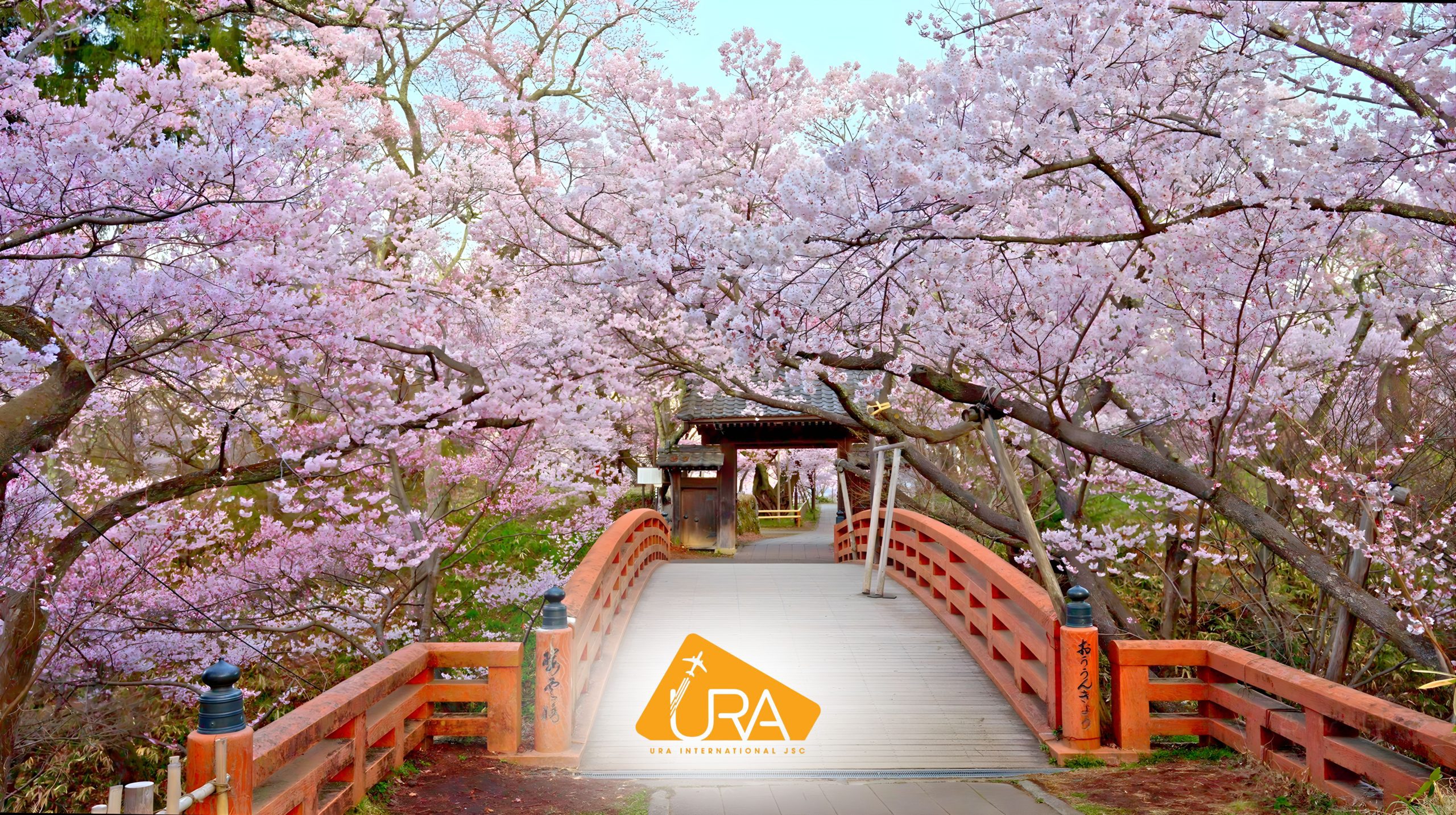 dia-diem-ngam-hoa-anh-dao-nhat-ban-takato