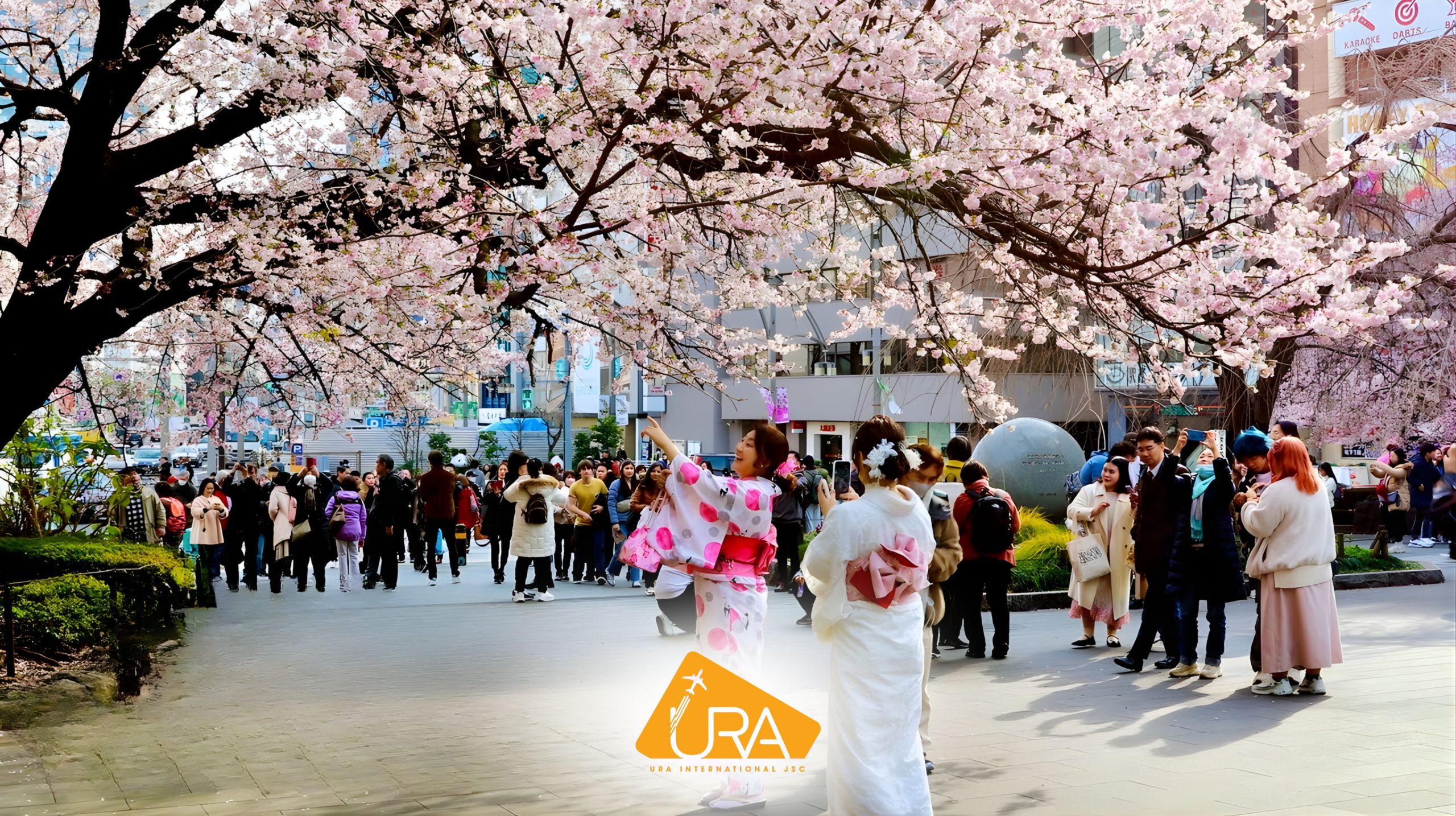 kinh-nghiem-ngam-hoa-anh-dao-nhat-ban-2026