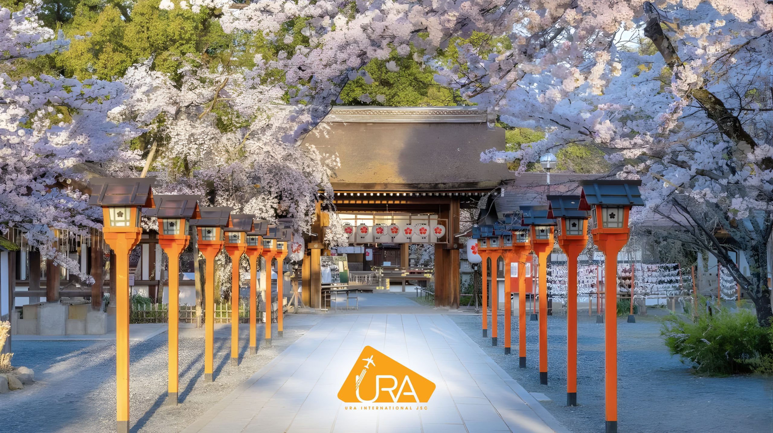 kinh-nghiem-ngam-hoa-anh-dao-nhat-ban-2026