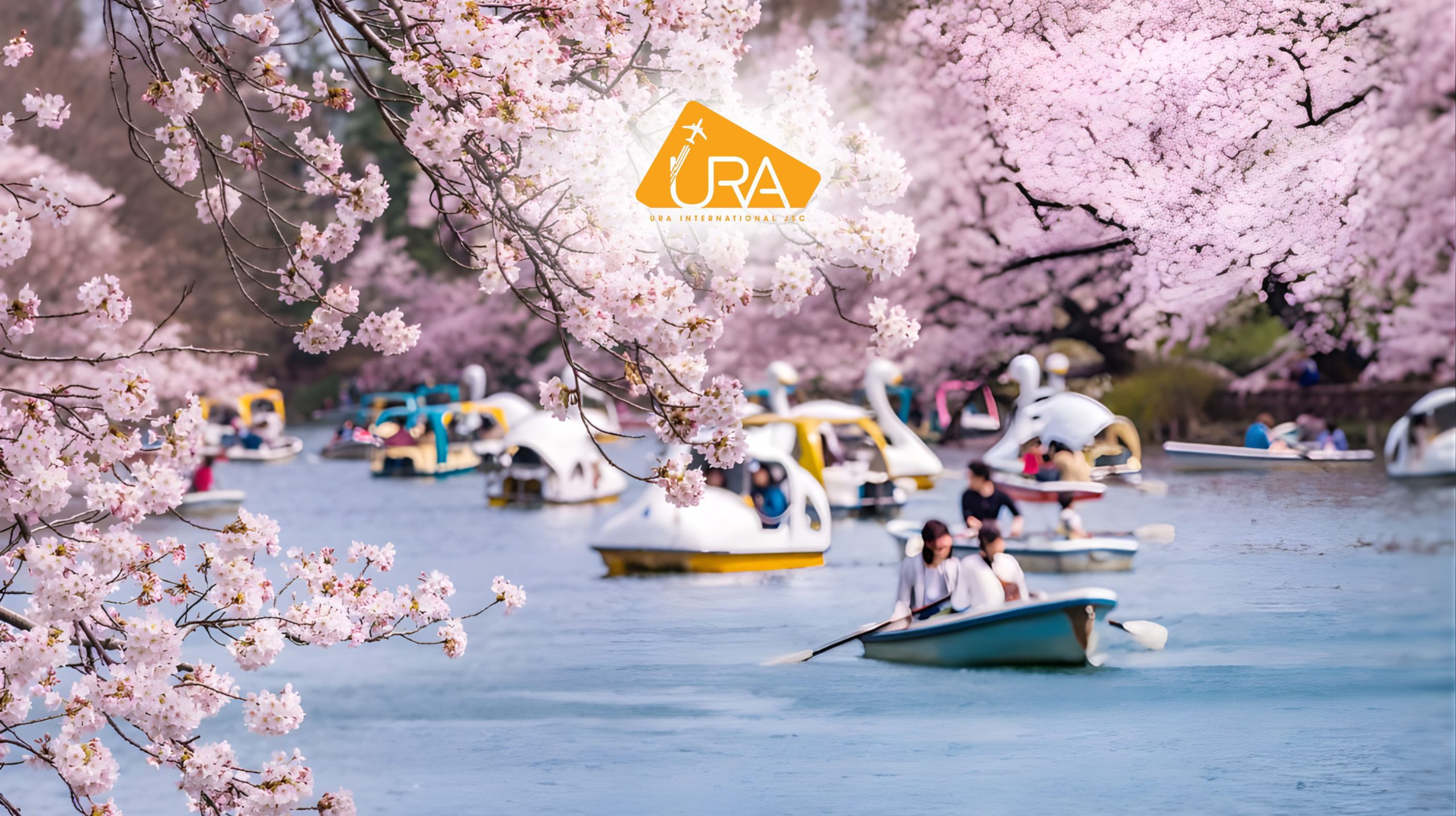 dia-diem-ngam-hoa-anh-dao-nhat-ban-cong-vien-inokashira