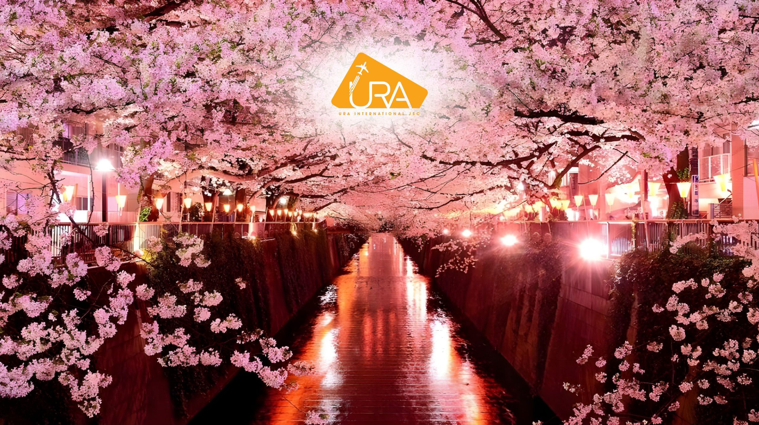 dia-diem-ngam-hoa-anh-dao-nhat-ban-dong-song-meguro