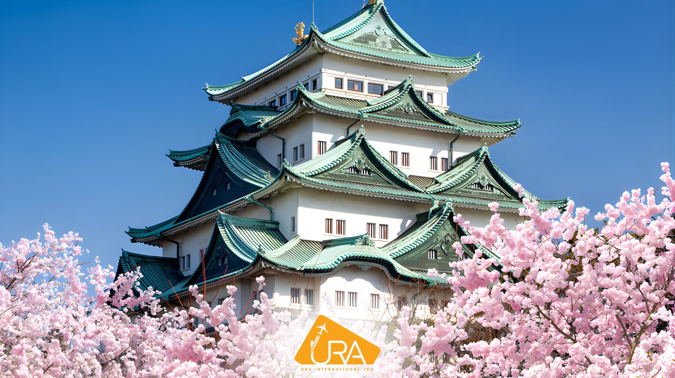 dia-diem-ngam-hoa-anh-dao-nhat-ban-lau-dai-nagoya