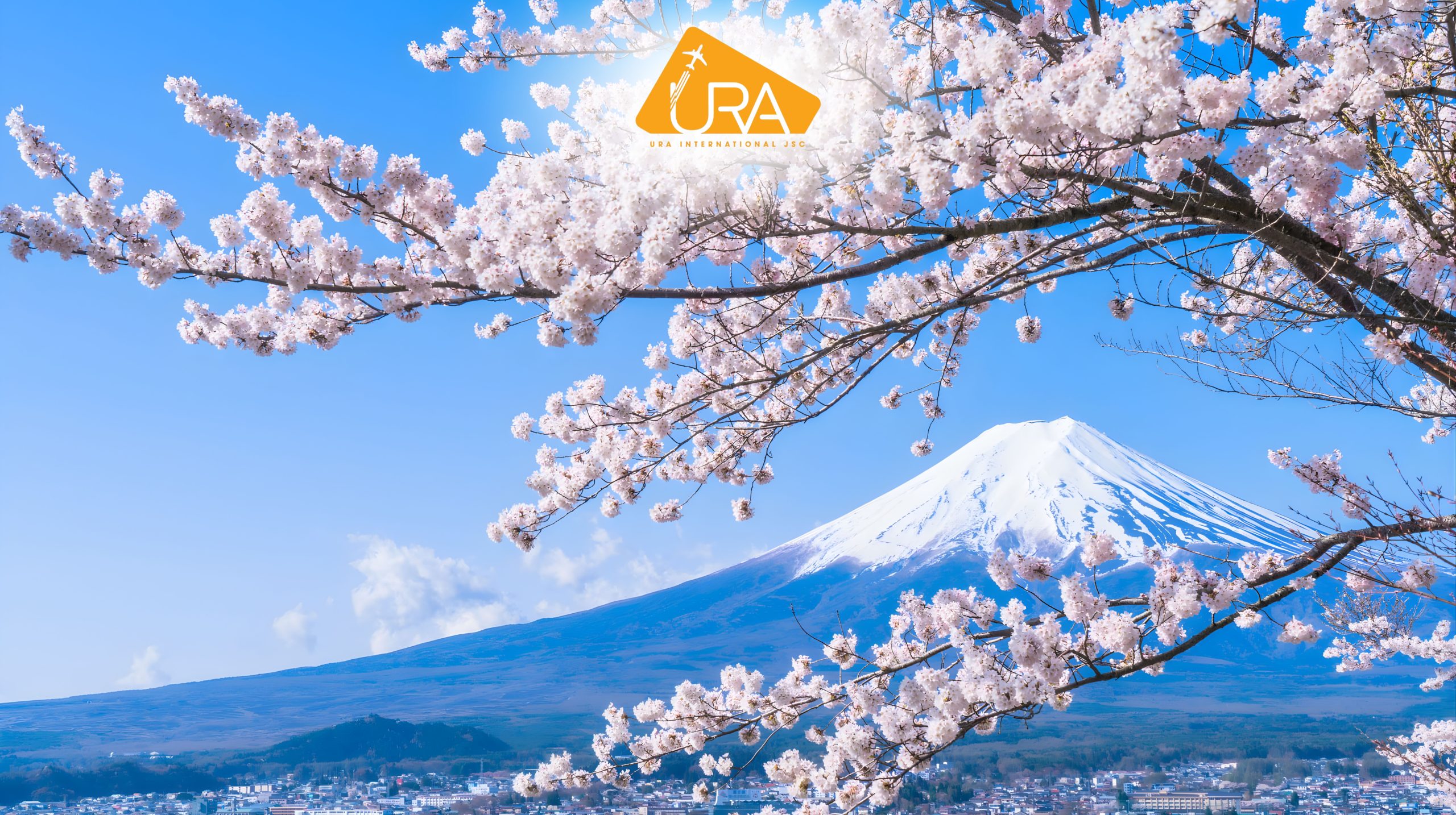 dia-diem-ngam-hoa-anh-dao-nhat-ban-vung-ho-kawaguchi