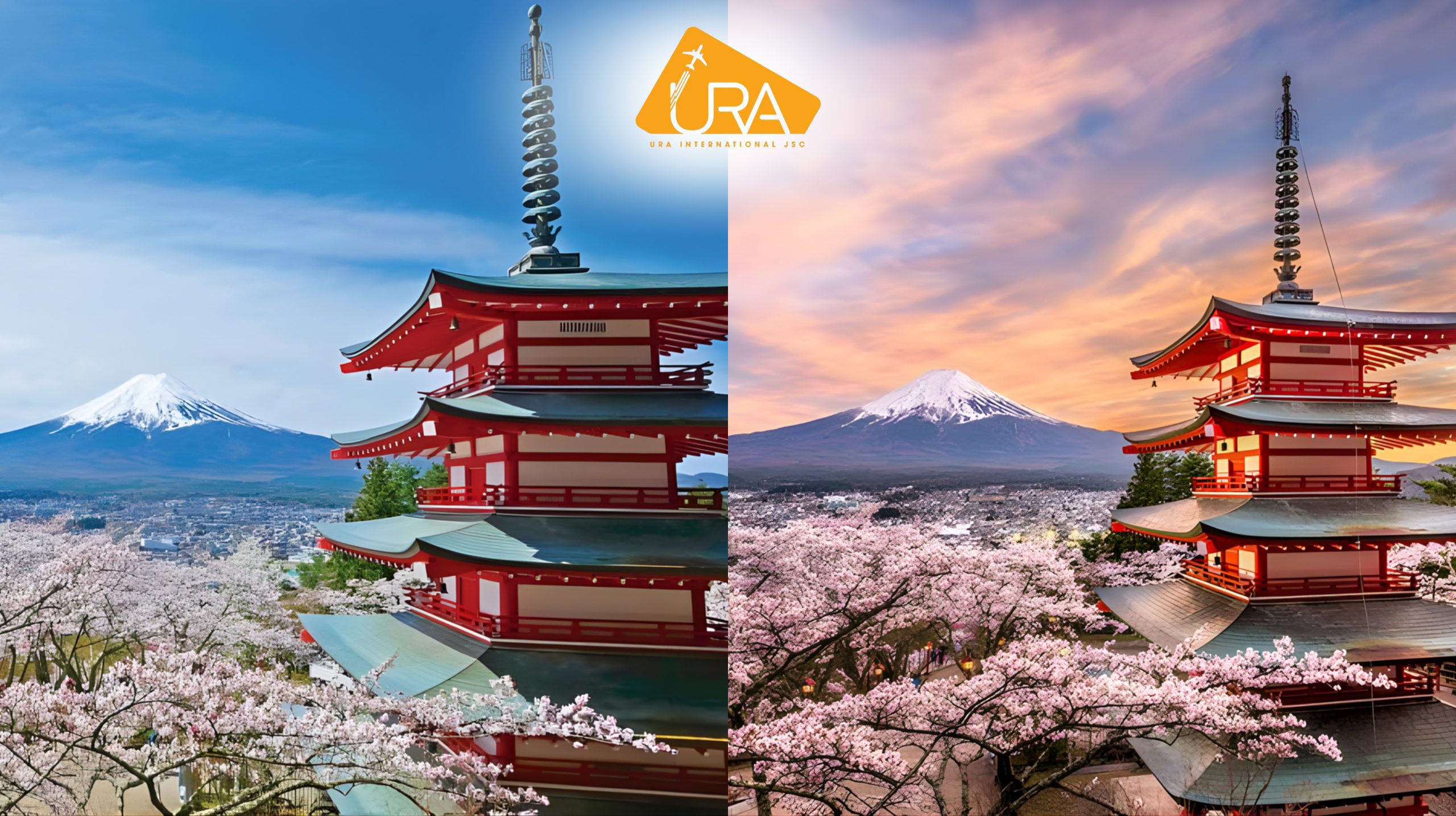 dia-diem-ngam-hoa-anh-dao-nhat-ban-chua-Chureito-Fujiyoshida