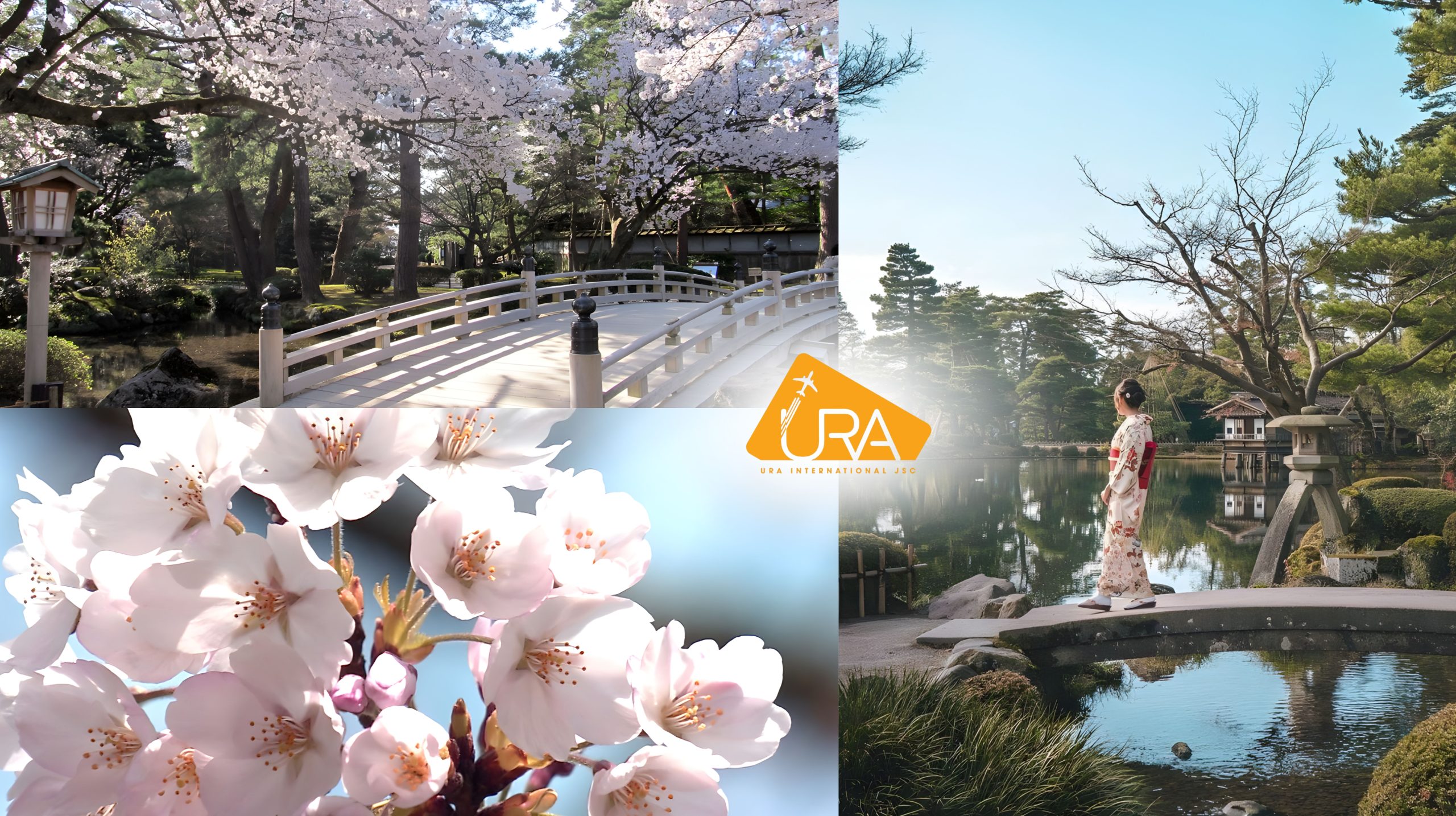 dia-diem-ngam-hoa-anh-dao-nhat-ban-vuon-kenrokuen-kanazawa