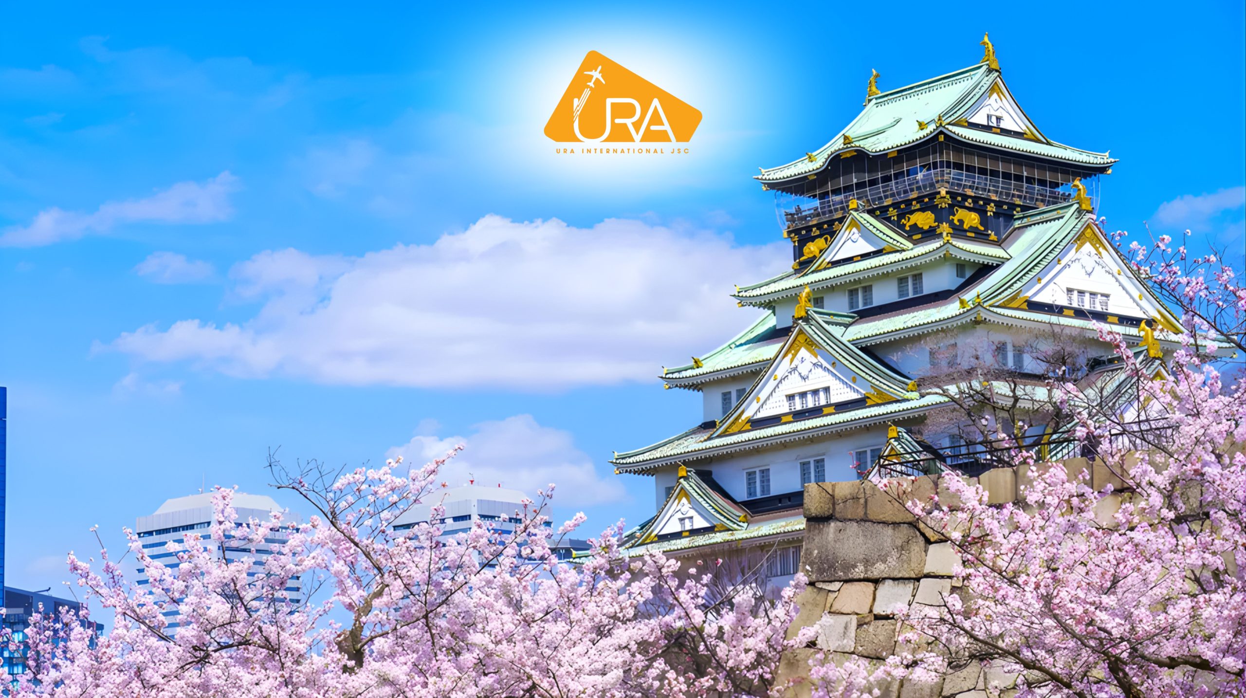 dia-diem-ngam-hoa-anh-dao-nhat-ban-cong-vien-lau-dai-osaka