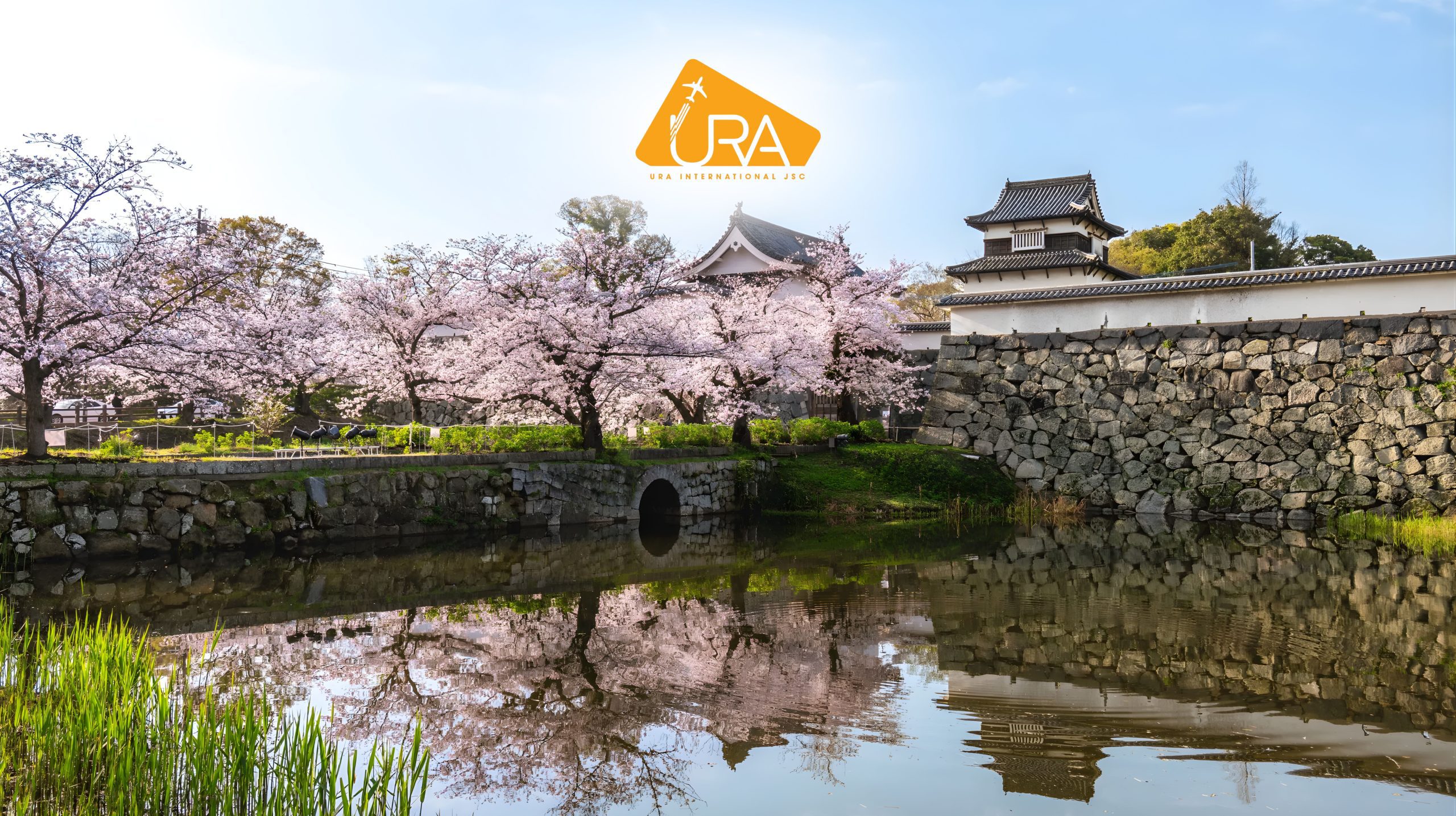 dia-diem-ngam-hoa-anh-dao-nhat-ban-cong-vien-Maizuru-Fukuoka