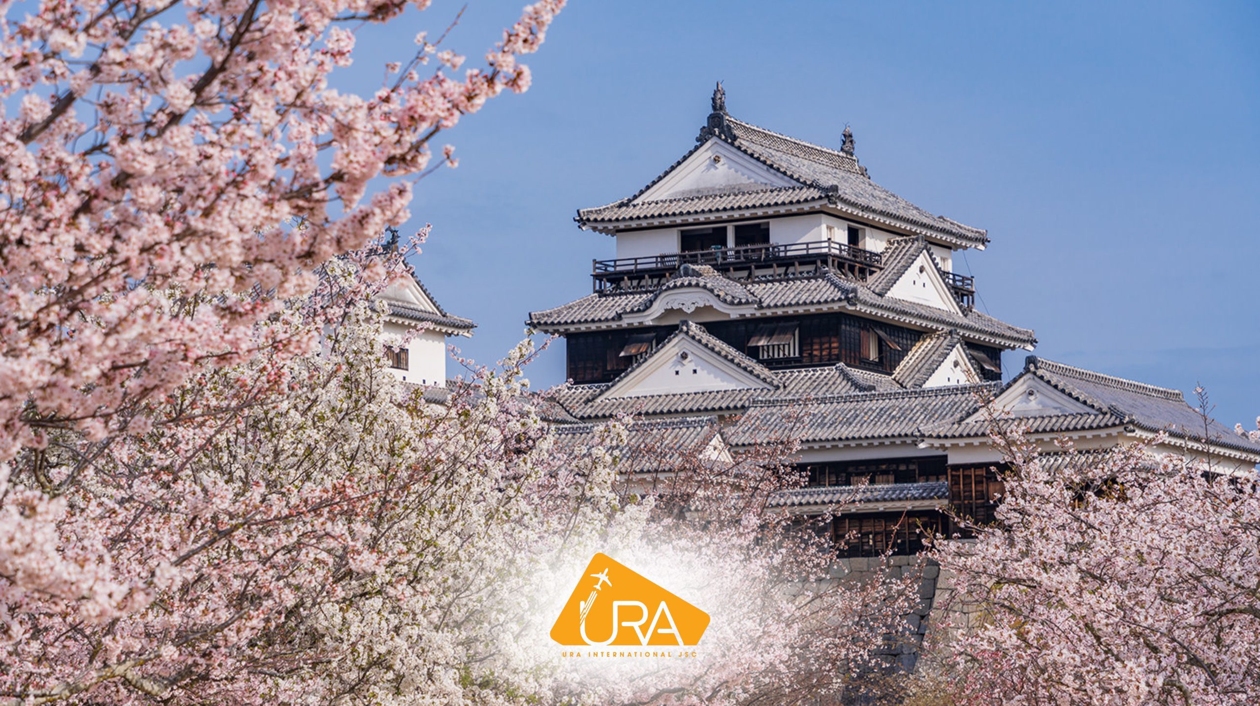 dia-diem-ngam-hoa-anh-dao-nhat-ban-lau-dai-Matsuyama