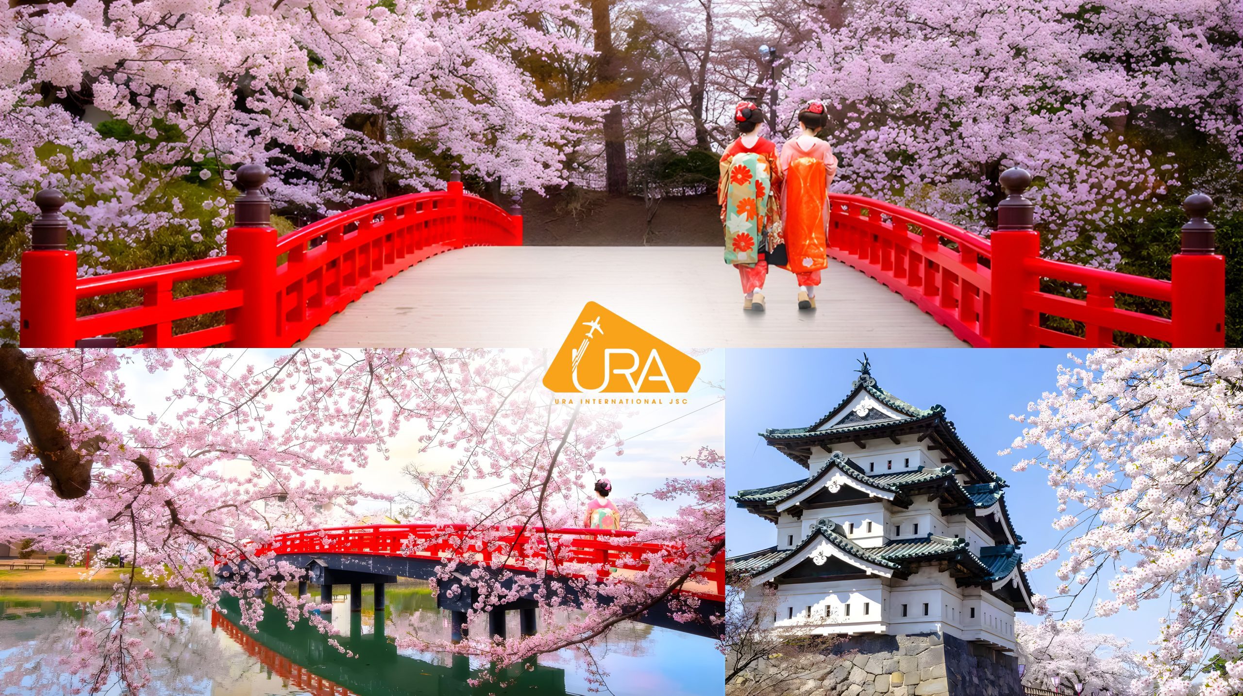 dia-diem-ngam-hoa-anh-dao-nhat-ban-cong-vien-Hirosaki