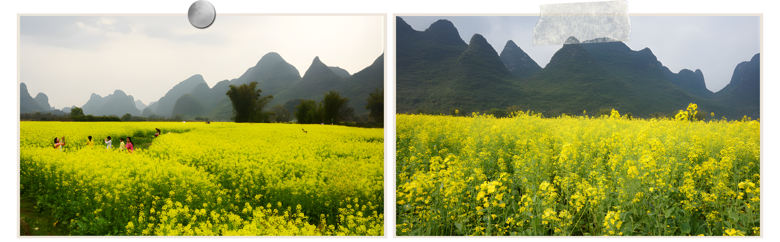 du-lich-que-lam-canh-dong-hoa-cai