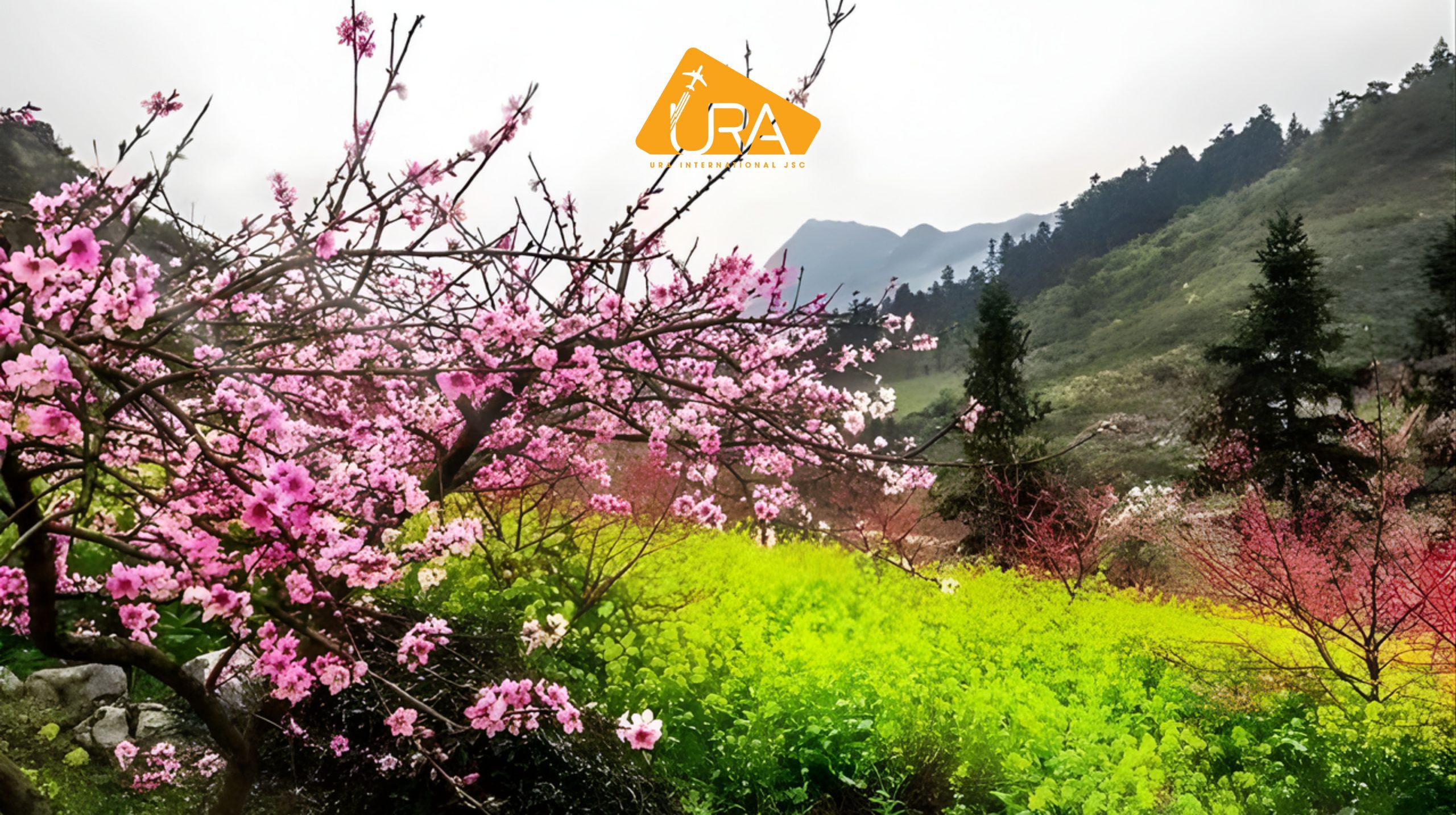 du-lich-que-lam-mua-xuan