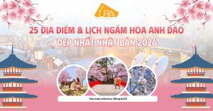 dia-diem-ngam-hoa-anh-dao-nhat-ban